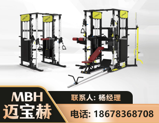 海西多功能综合训练器