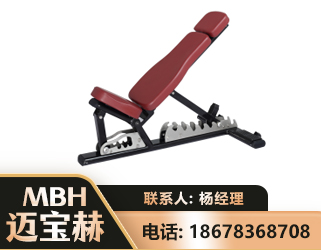 海西可调哑铃椅