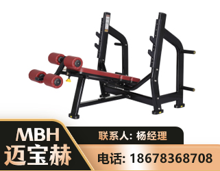 海西豪华下斜卧推架