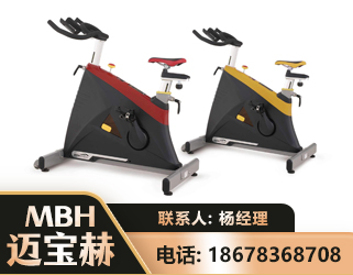 海西商用动感单车